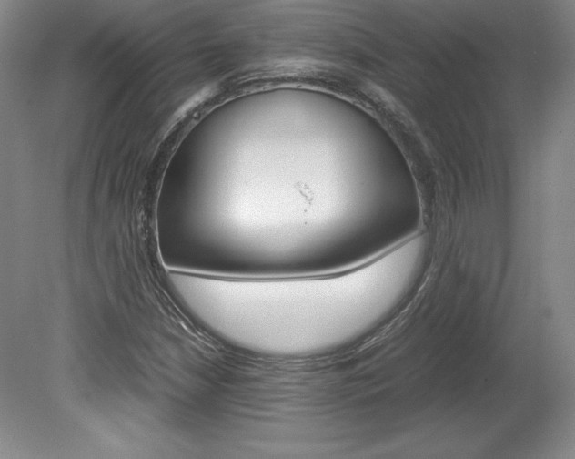 X0000078841210200611130949