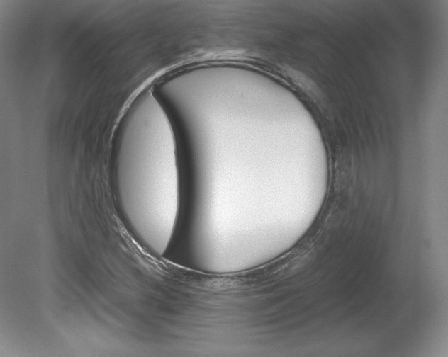 X0000078841212200611130949