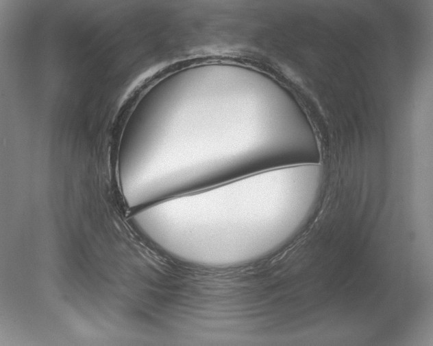 X0000078841214200611130949