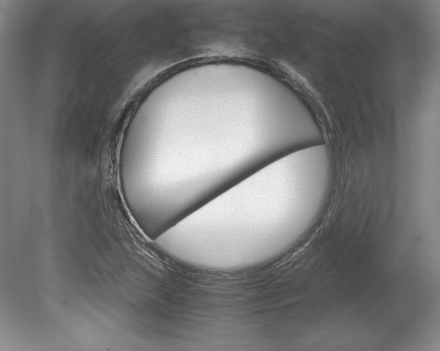 X0000078841215200611130949
