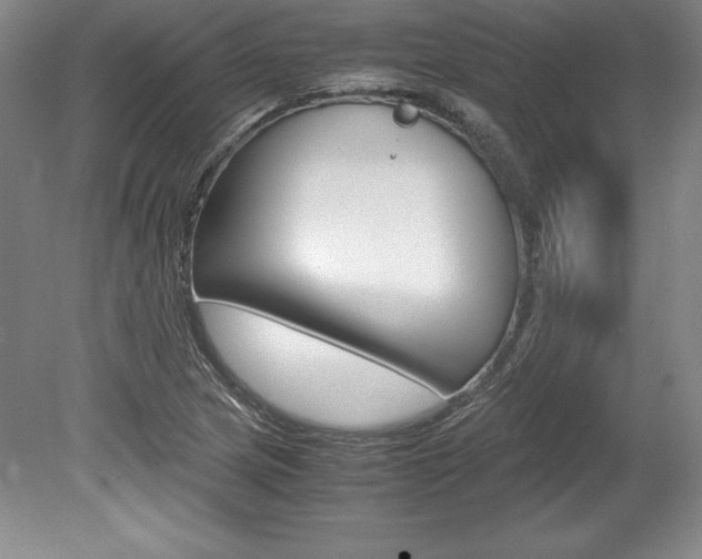X0000078841217200611130949