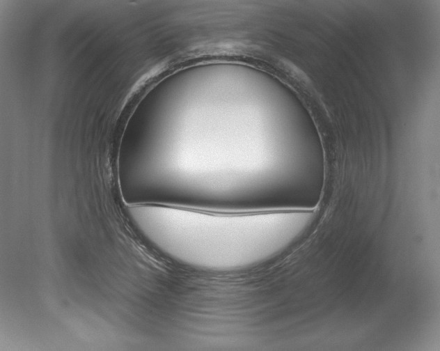 X0000078841218200611130949