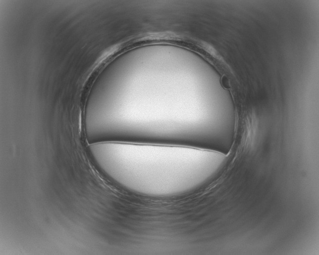 X0000078841221200611130949