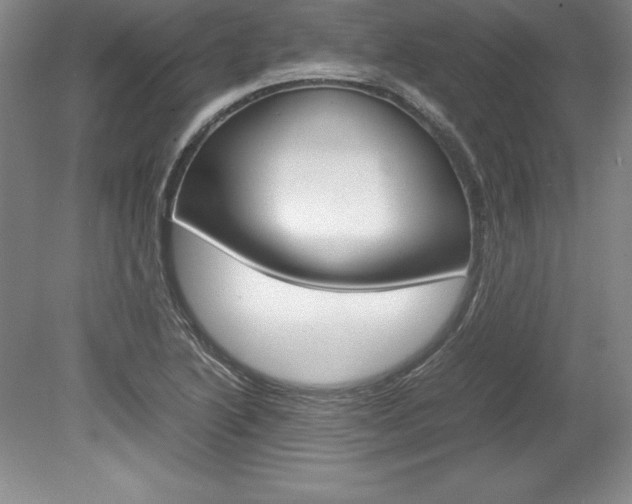 X0000078841222200611130949