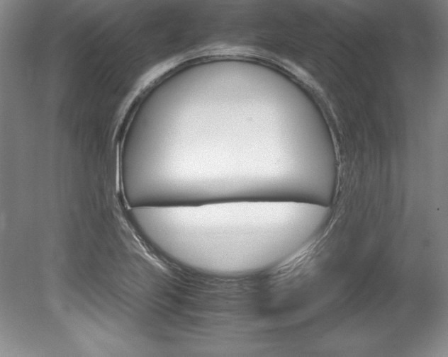 X0000078841223200611130949