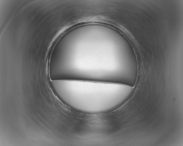 X0000078841224200611130949