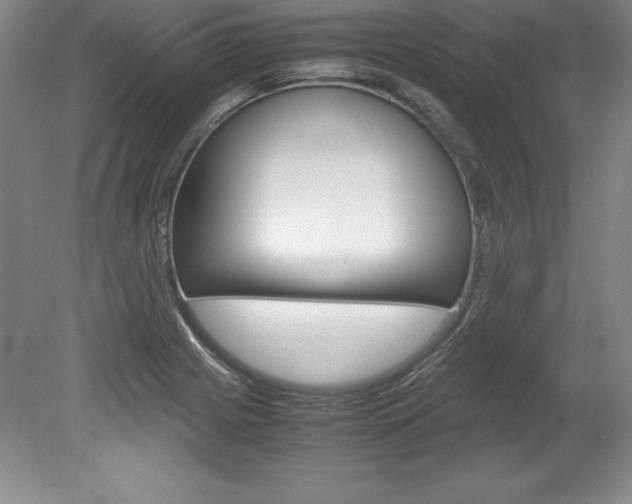 X0000078841225200611130949
