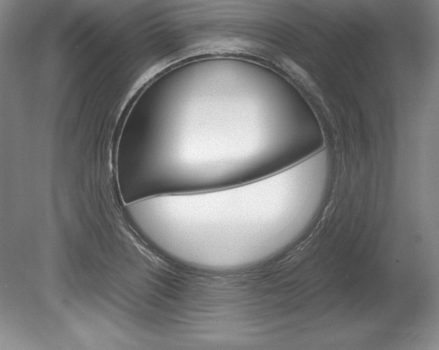 X0000078841226200611130949