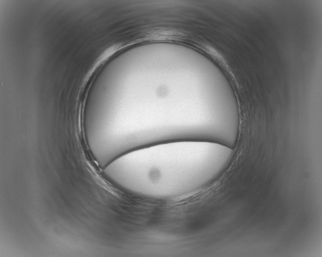 X0000078841227200611130949