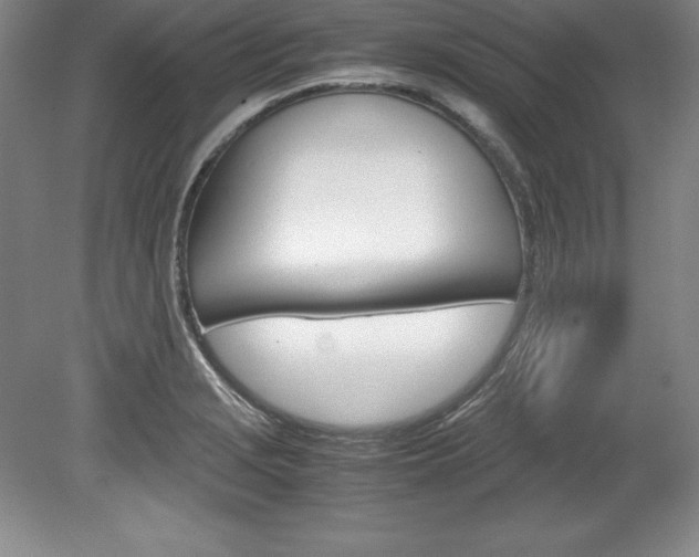 X0000078841229200611130949