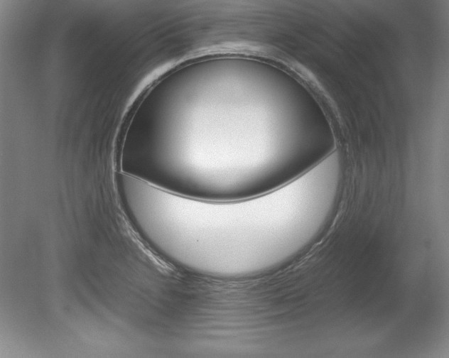 X0000078841230200611130949