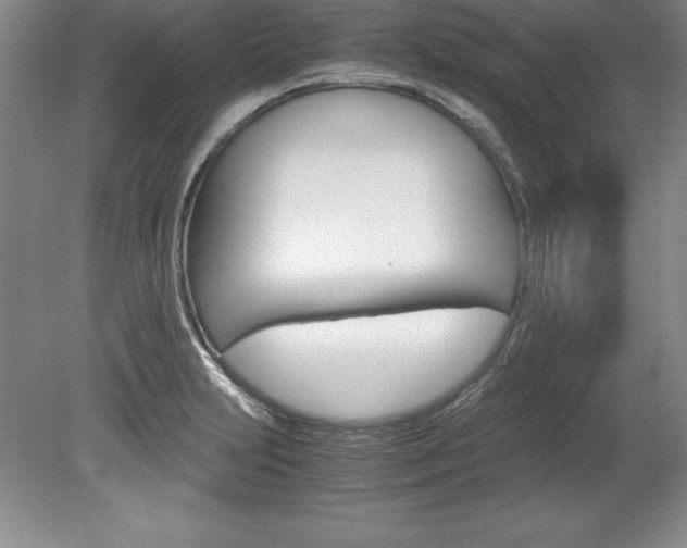 X0000078841231200611130949