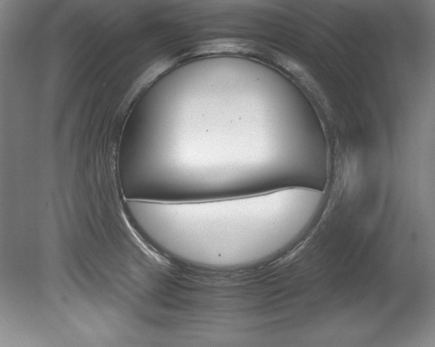 X0000078841233200611130949