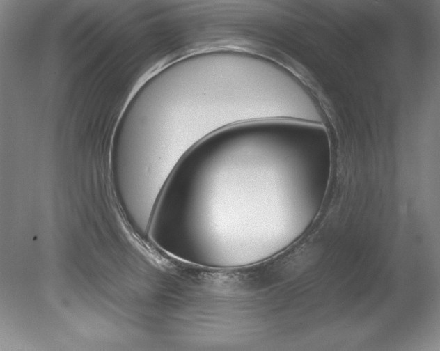 X0000078841234200611130949