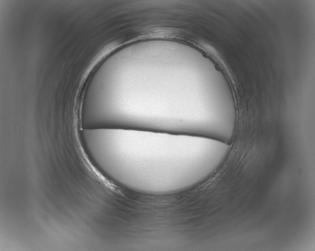 X0000078841235200611130949
