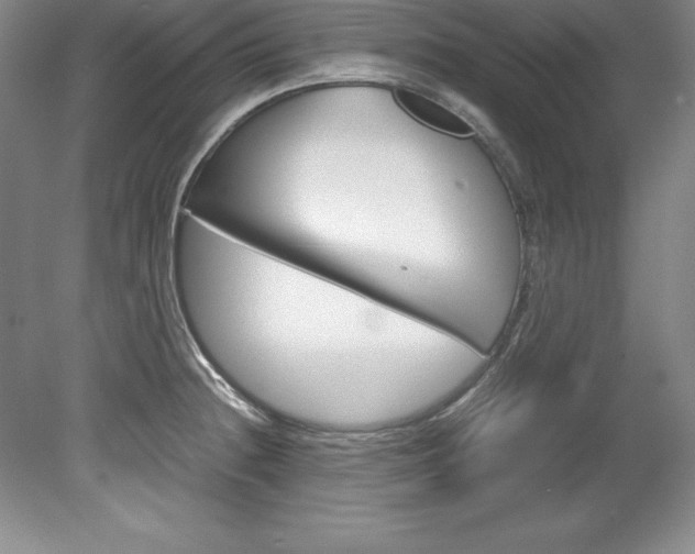 X0000078841236200611130949