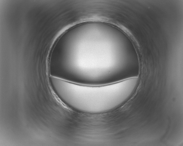 X0000078841238200611130949