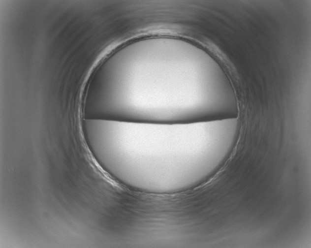 X0000078841240200611130949