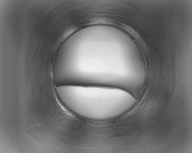 X0000078841241200611130949