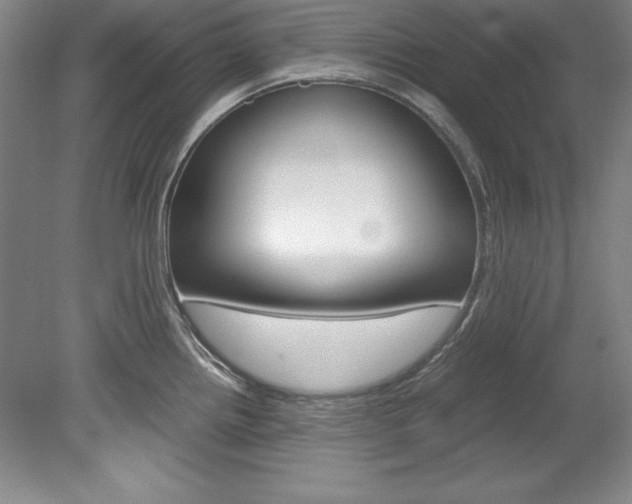 X0000078841242200611130949