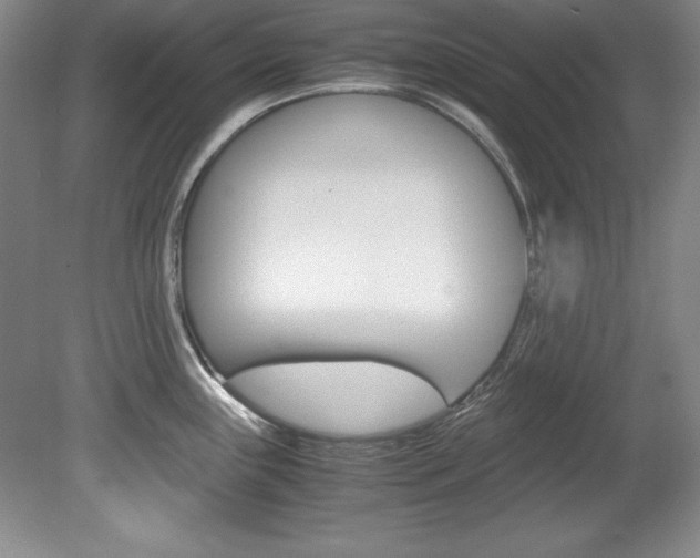 X0000078841243200611130949