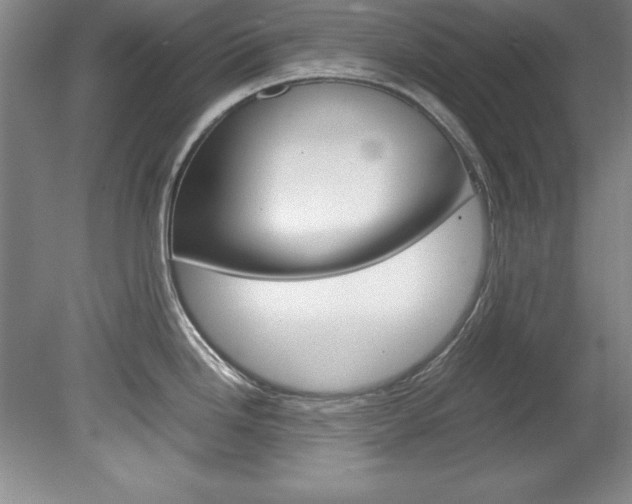 X0000078841246200611130949