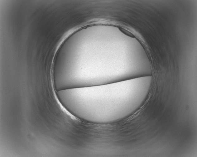 X0000078841247200611130949