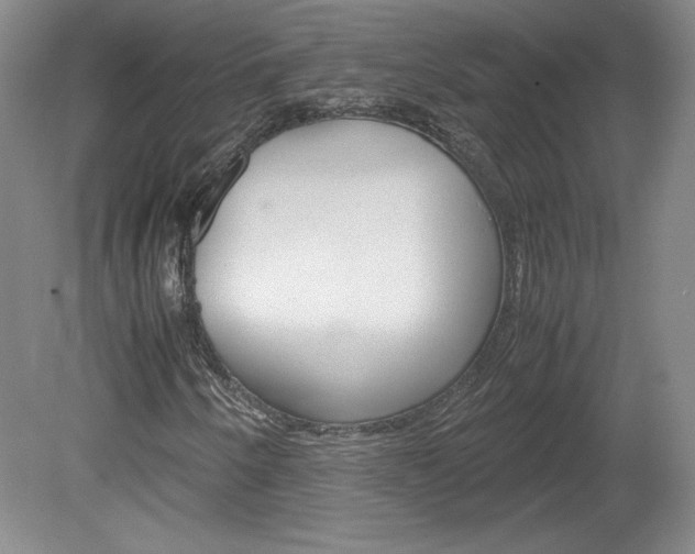 X0000078841250200611130949
