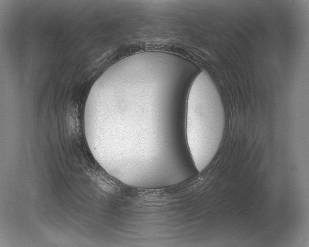 X0000078841252200611130949