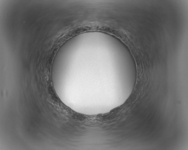 X0000078841253200611130949