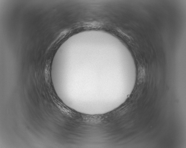 X0000078841254200611130949