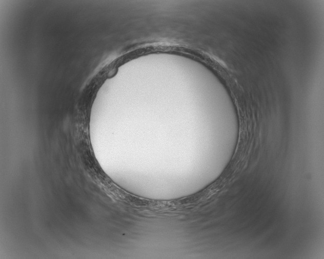 X0000078841255200611130949