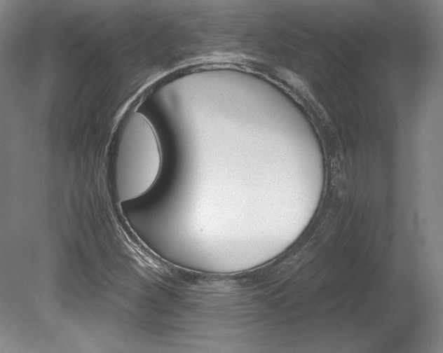 X0000078841260200611130948