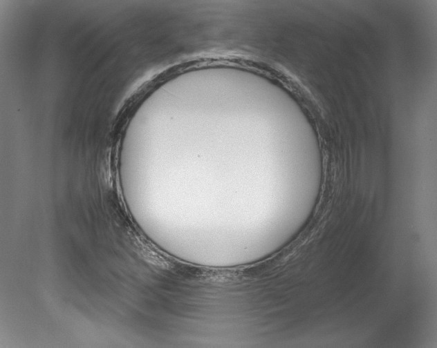 X0000078841262200611130948