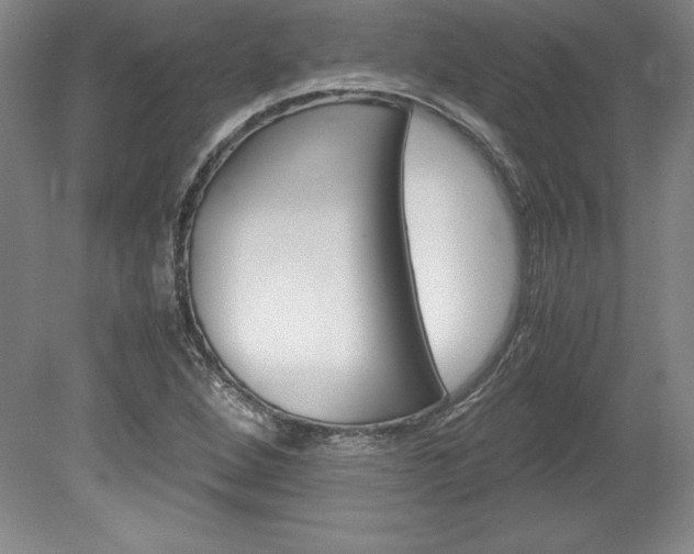 X0000078841264200611130948