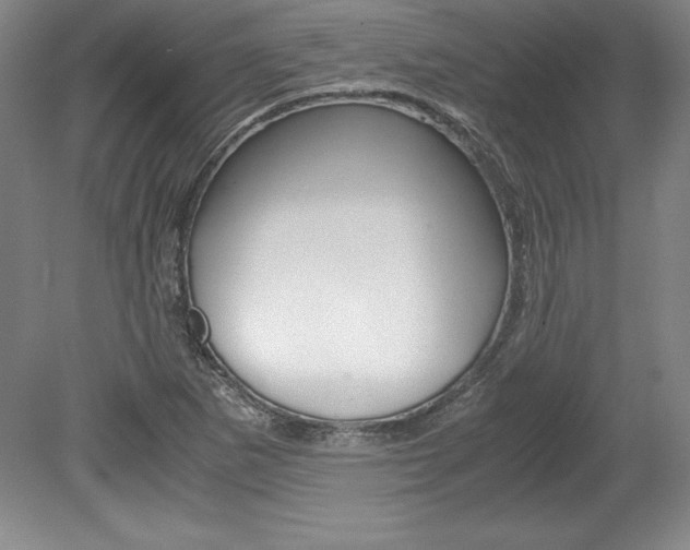 X0000078841265200611130948