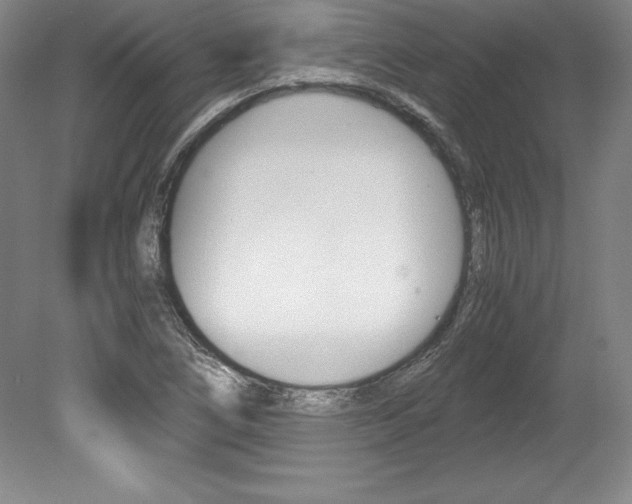 X0000078841266200611130948