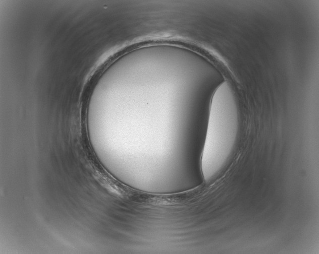 X0000078841270200611130948