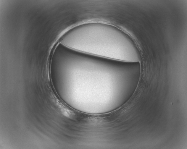 X0000078841272200611130948