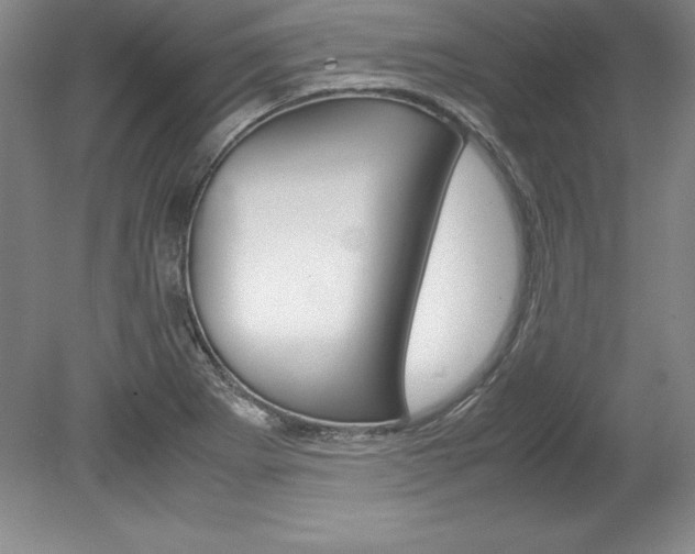 X0000078841273200611130948