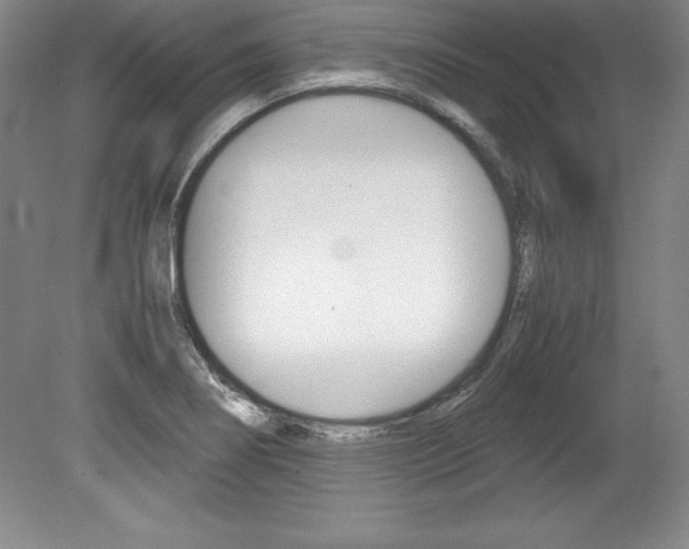 X0000078841274200611130948