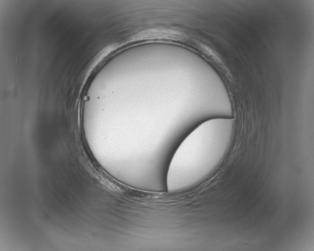 X0000078841275200611130948