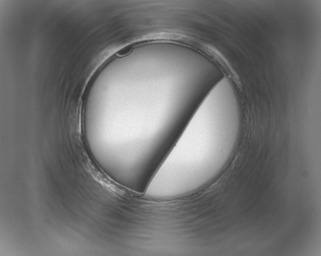 X0000078841276200611130948