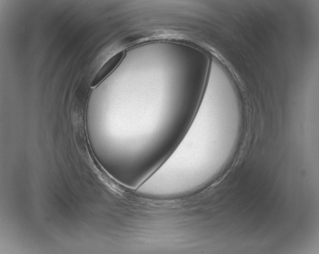 X0000078841281200611130948