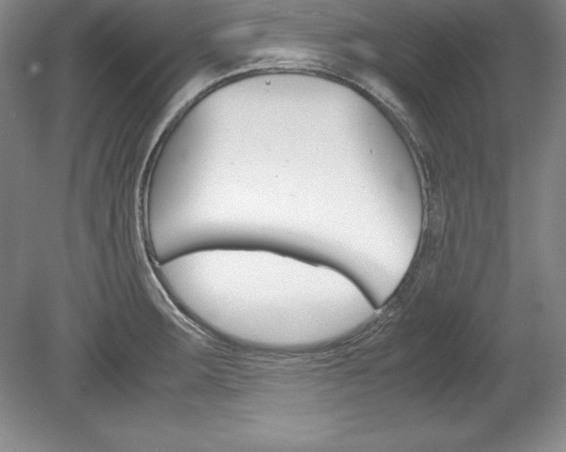 X0000078841283200611130948