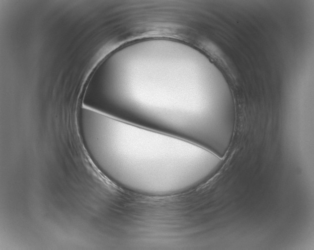 X0000078841284200611130948