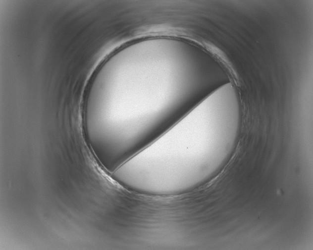 X0000078841288200611130948