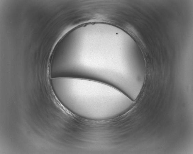 X0000078841292200611130948