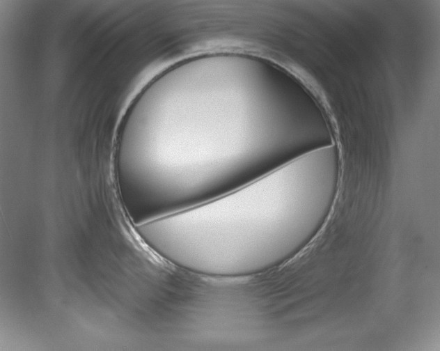 X0000078841296200611130948
