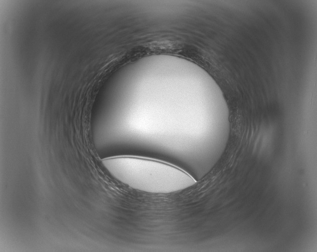 X0000078841297200611130947